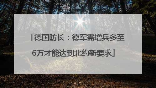 德国防长：德军需增兵多至6万才能达到北约新要求
