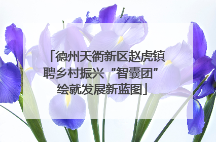 德州天衢新区赵虎镇聘乡村振兴“智囊团” 绘就发展新蓝图