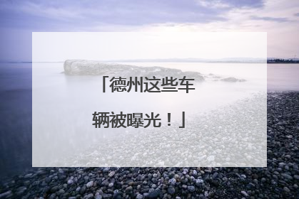 德州这些车辆被曝光！