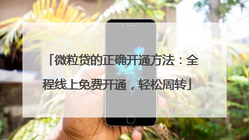 微粒贷的正确开通方法：全程线上免费开通，轻松周转
