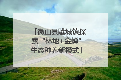 微山县驩城镇探索“林地+金蝉”生态种养新模式