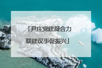 尹庄党建凝合力 联建议事促振兴