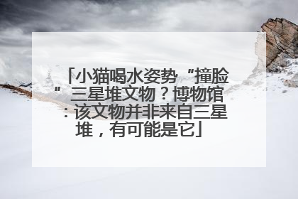 小猫喝水姿势“撞脸”三星堆文物？博物馆：该文物并非来自三星堆，有可能是它