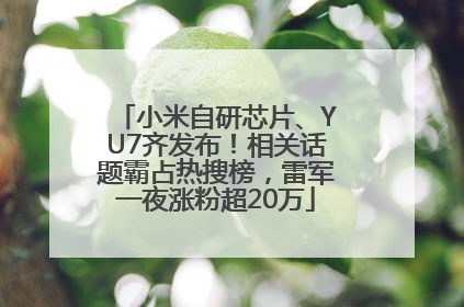 小米自研芯片、YU7齐发布！相关话题霸占热搜榜，雷军一夜涨粉超20万