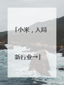 小米，入局新行业→