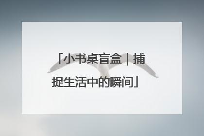 小书桌盲盒｜捕捉生活中的瞬间