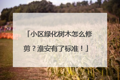 小区绿化树木怎么修剪？淮安有了标准！