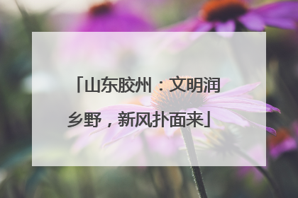 山东胶州：文明润乡野，新风扑面来