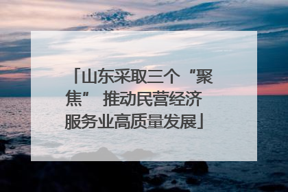 山东采取三个“聚焦” 推动民营经济服务业高质量发展