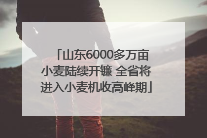 山东6000多万亩小麦陆续开镰 全省将进入小麦机收高峰期