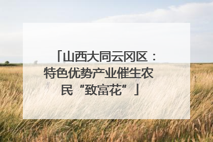 山西大同云冈区：特色优势产业催生农民“致富花”