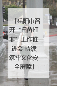 岳阳市召开“扫黄打非”工作推进会 持续筑牢文化安全屏障
