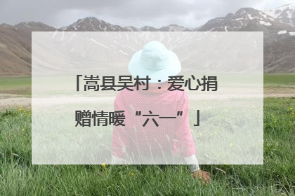 嵩县吴村：爱心捐赠情暖“六一”