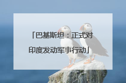 巴基斯坦：正式对印度发动军事行动