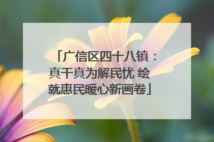 广信区四十八镇：真干真为解民忧 绘就惠民暖心新画卷