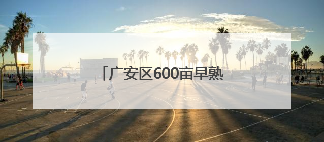 广安区600亩早熟黄桃抢“鲜”上市