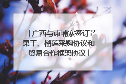 广西与柬埔寨签订芒果干、榴莲采购协议和贸易合作框架协议