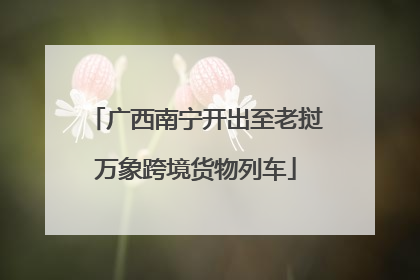 广西南宁开出至老挝万象跨境货物列车