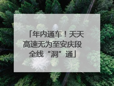 年内通车！天天高速无为至安庆段全线“洞”通