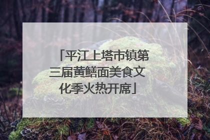 平江上塔市镇第三届黄鳝面美食文化季火热开席
