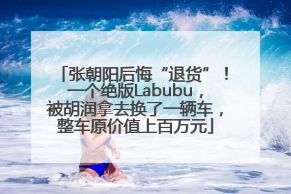 张朝阳后悔“退货”！一个绝版Labubu，被胡润拿去换了一辆车，整车原价值上百万元