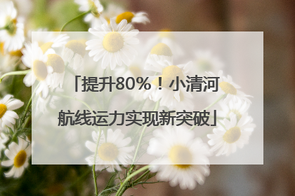 提升80％！小清河航线运力实现新突破