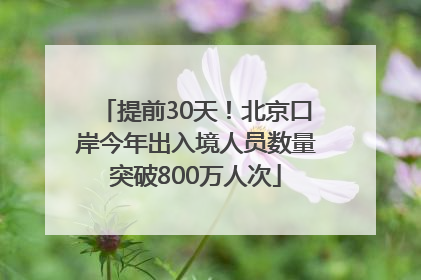 提前30天！北京口岸今年出入境人员数量突破800万人次