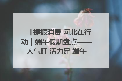 提振消费 河北在行动｜端午假期盘点——人气旺 活力足 端午经济“热浪”迭起