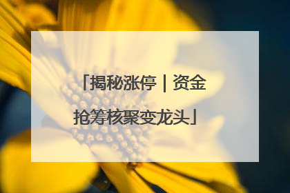 揭秘涨停｜资金抢筹核聚变龙头