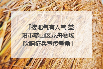 接地气有人气 益阳市赫山区龙舟赛场吹响征兵宣传号角
