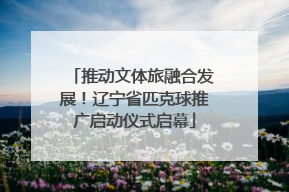 推动文体旅融合发展！辽宁省匹克球推广启动仪式启幕
