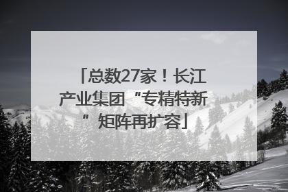 总数27家！长江产业集团“专精特新”矩阵再扩容