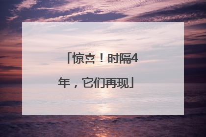 惊喜！时隔4年，它们再现