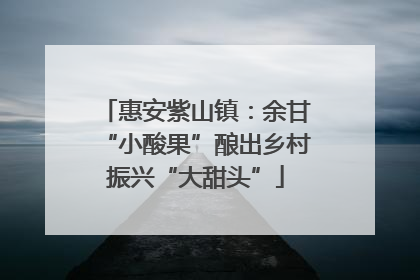 惠安紫山镇：余甘“小酸果”酿出乡村振兴“大甜头”