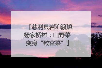 慈利县岩泊渡镇杨家桥村：山野菜变身“致富菜”