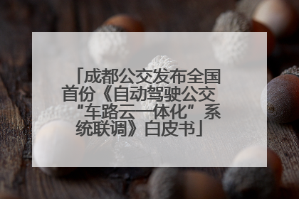 成都公交发布全国首份《自动驾驶公交“车路云一体化”系统联调》白皮书