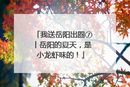 我送岳阳出圈⑦丨岳阳的夏天,是小龙虾味的!