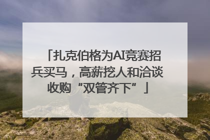 扎克伯格为AI竞赛招兵买马，高薪挖人和洽谈收购“双管齐下”