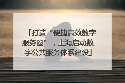 打造“便捷高效数字服务圈”，上海启动数字公共服务体系建设