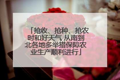 抢收、抢种、抢农时和好天气 从南到北各地多举措保障农业生产顺利进行