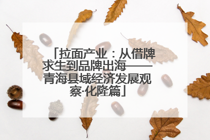 拉面产业：从借牌求生到品牌出海——青海县域经济发展观察·化隆篇