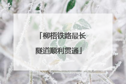 柳梧铁路最长隧道顺利贯通