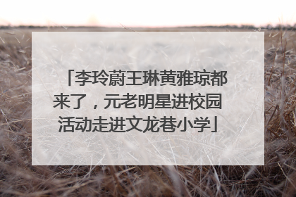 李玲蔚王琳黄雅琼都来了，元老明星进校园活动走进文龙巷小学