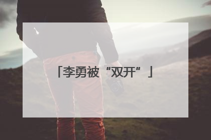 李勇被“双开”