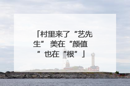 村里来了“艺先生” 美在“颜值”也在“根”