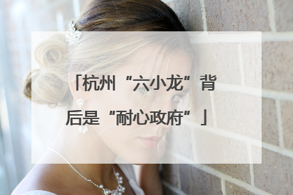 杭州“六小龙”背后是“耐心政府”