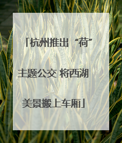 杭州推出“荷”主题公交 将西湖美景搬上车厢