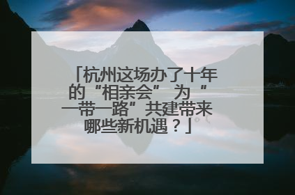 杭州这场办了十年的“相亲会” 为“一带一路”共建带来哪些新机遇？