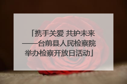携手关爱 共护未来——台前县人民检察院举办检察开放日活动