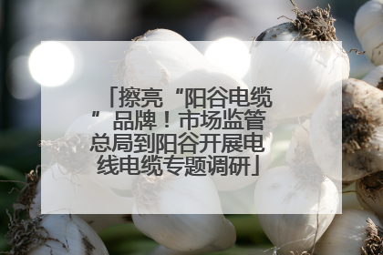 擦亮“阳谷电缆”品牌！市场监管总局到阳谷开展电线电缆专题调研